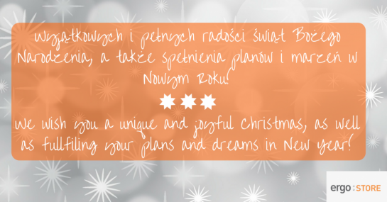 ergostore - miniatura