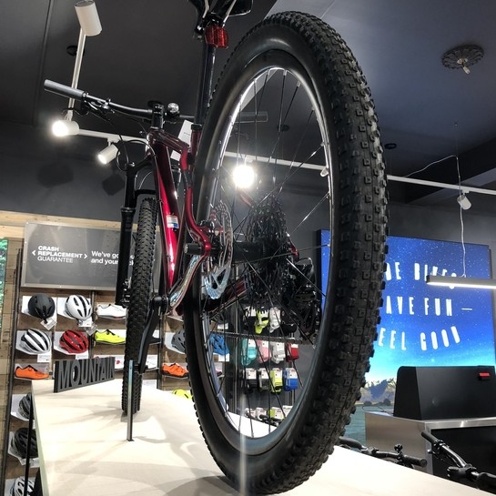 ASalon Trek Bicycyle w Shrewsbury przygotowany przez Ergo Store